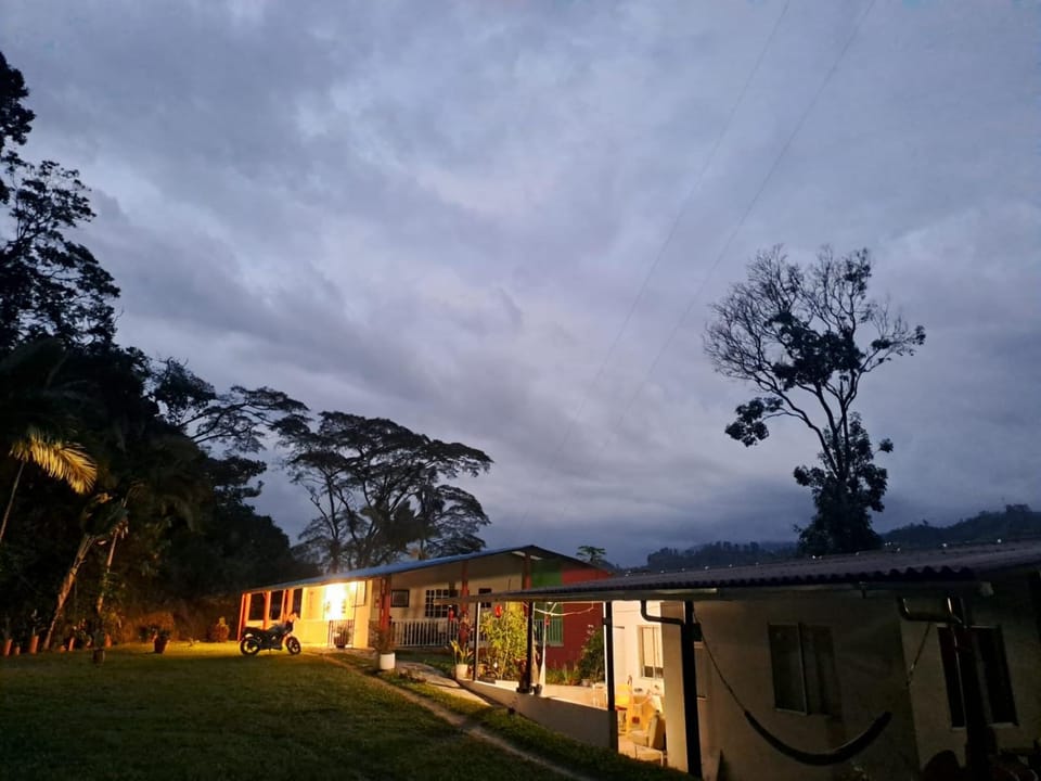 Property building, Night, Garden, Garden view