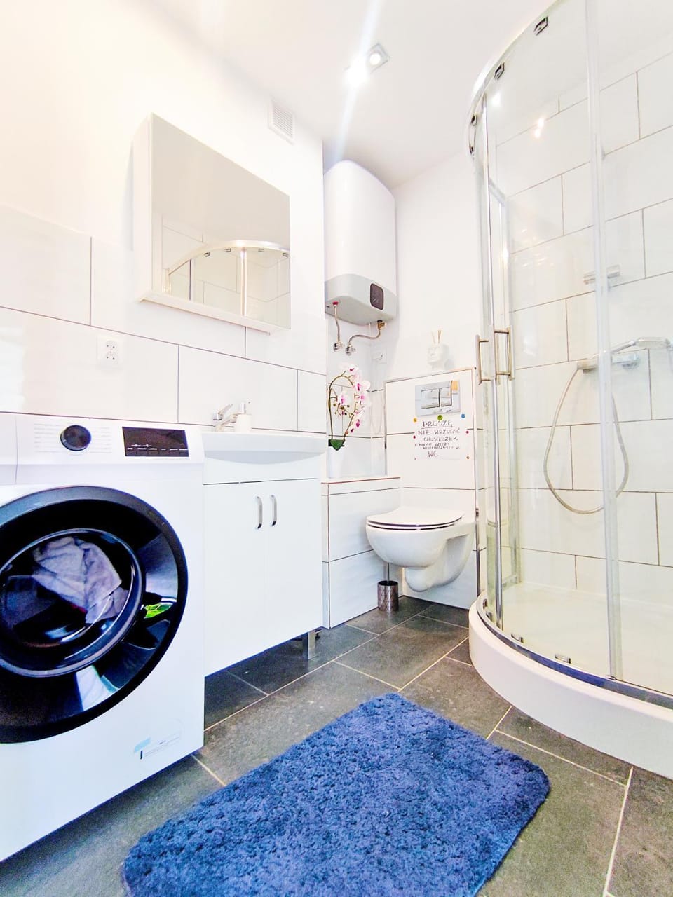 Toilet, towels, washing machine