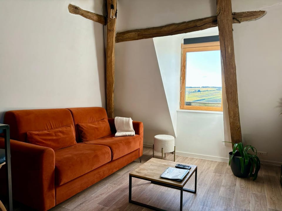 Appartement cosy vue sur le vignoble Apartment in Sancerre