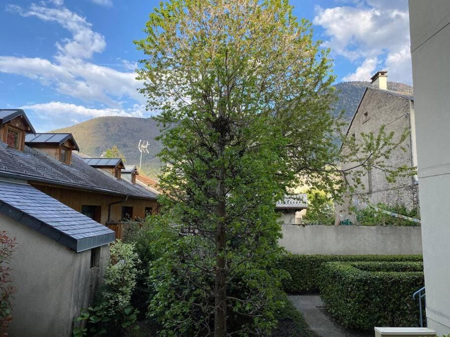 Mountain view