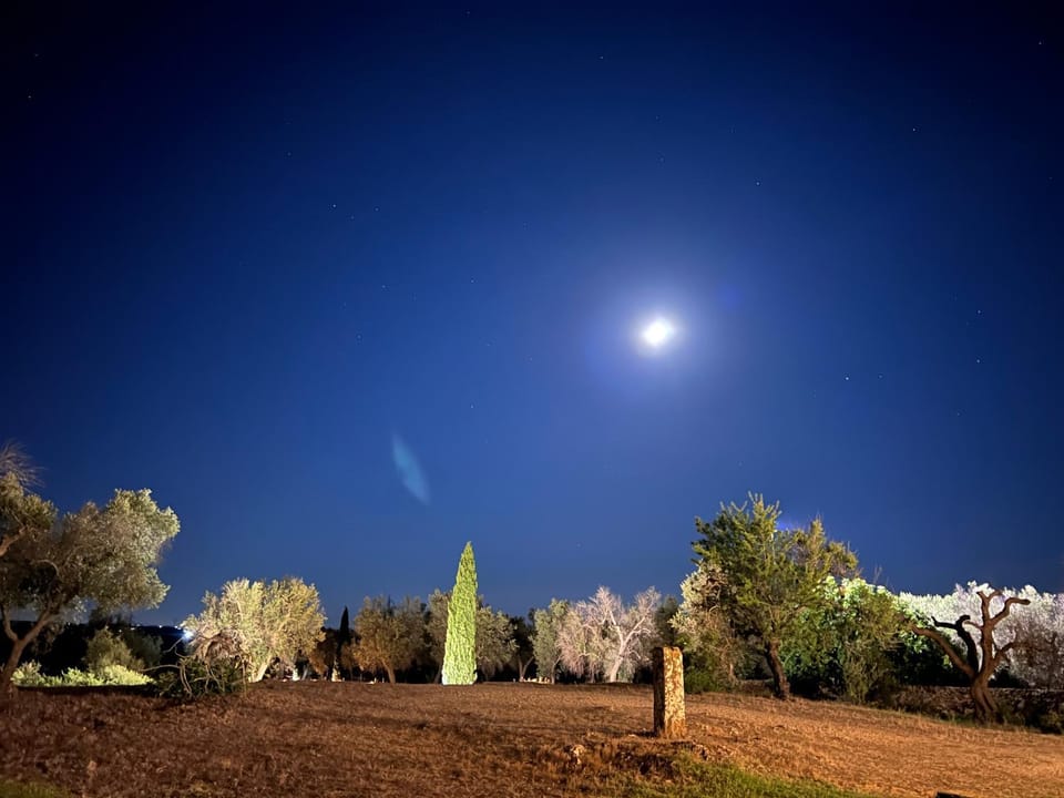 Night, Natural landscape