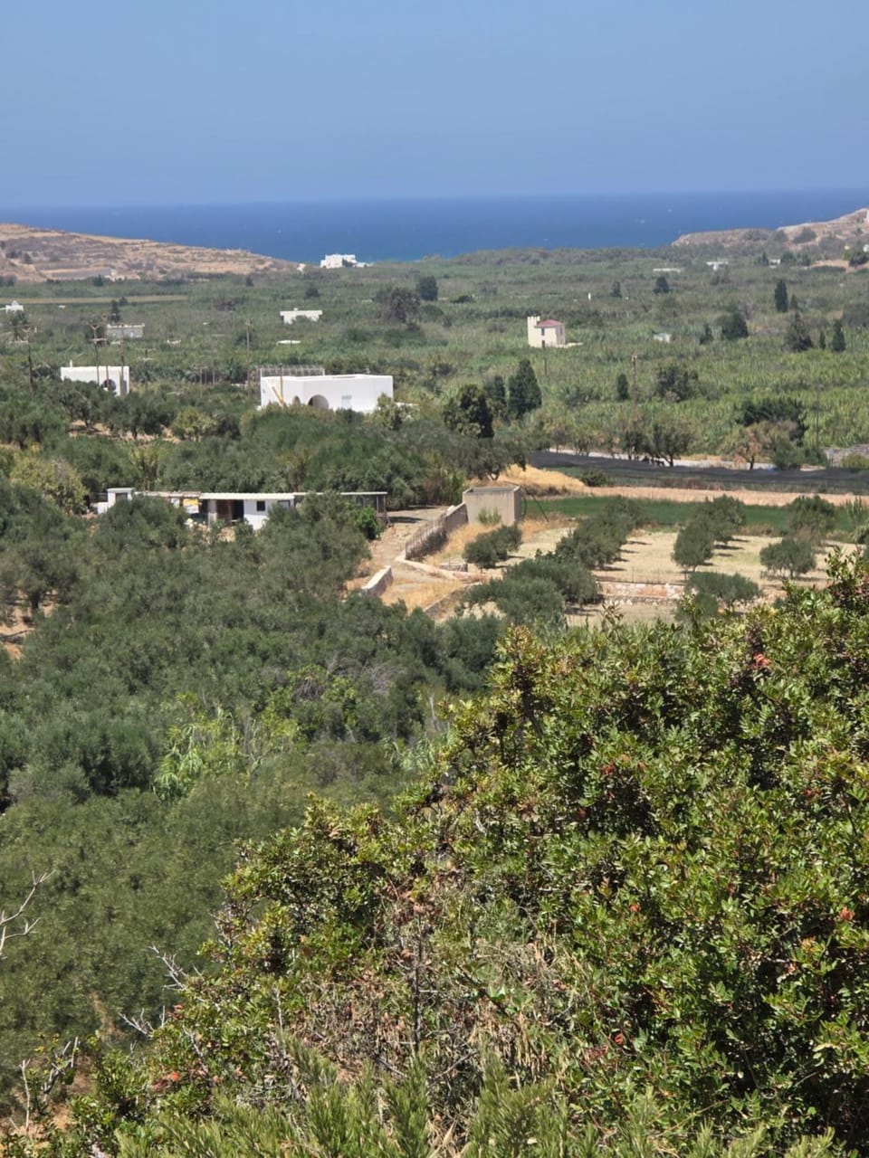 Anna's Cottage Home House in Naxos, Naxos and Lesser Cyclades, Greece