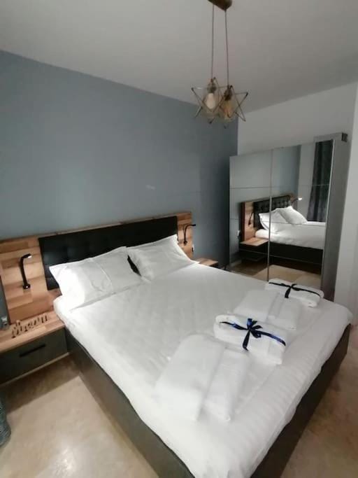 Breeze Way Apartment, 10 metri de plaja Apartment in Constanța County