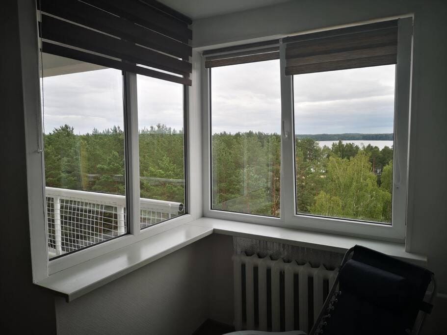 Studio Apartment with Lake View Apartment in Lithuania
