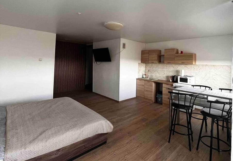 Studio Apartment with Lake View Apartment in Lithuania