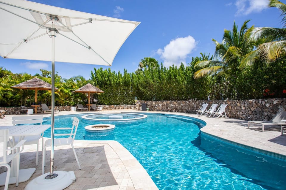 Garden, Swimming pool, Swimming pool, sunbed