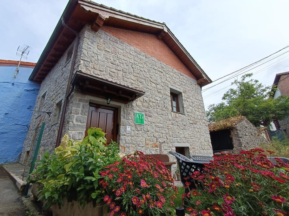 Property building, Garden, Garden view, internet