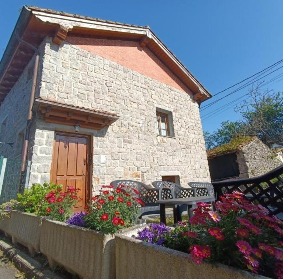 Property building, Spring, Day, Garden, Garden view