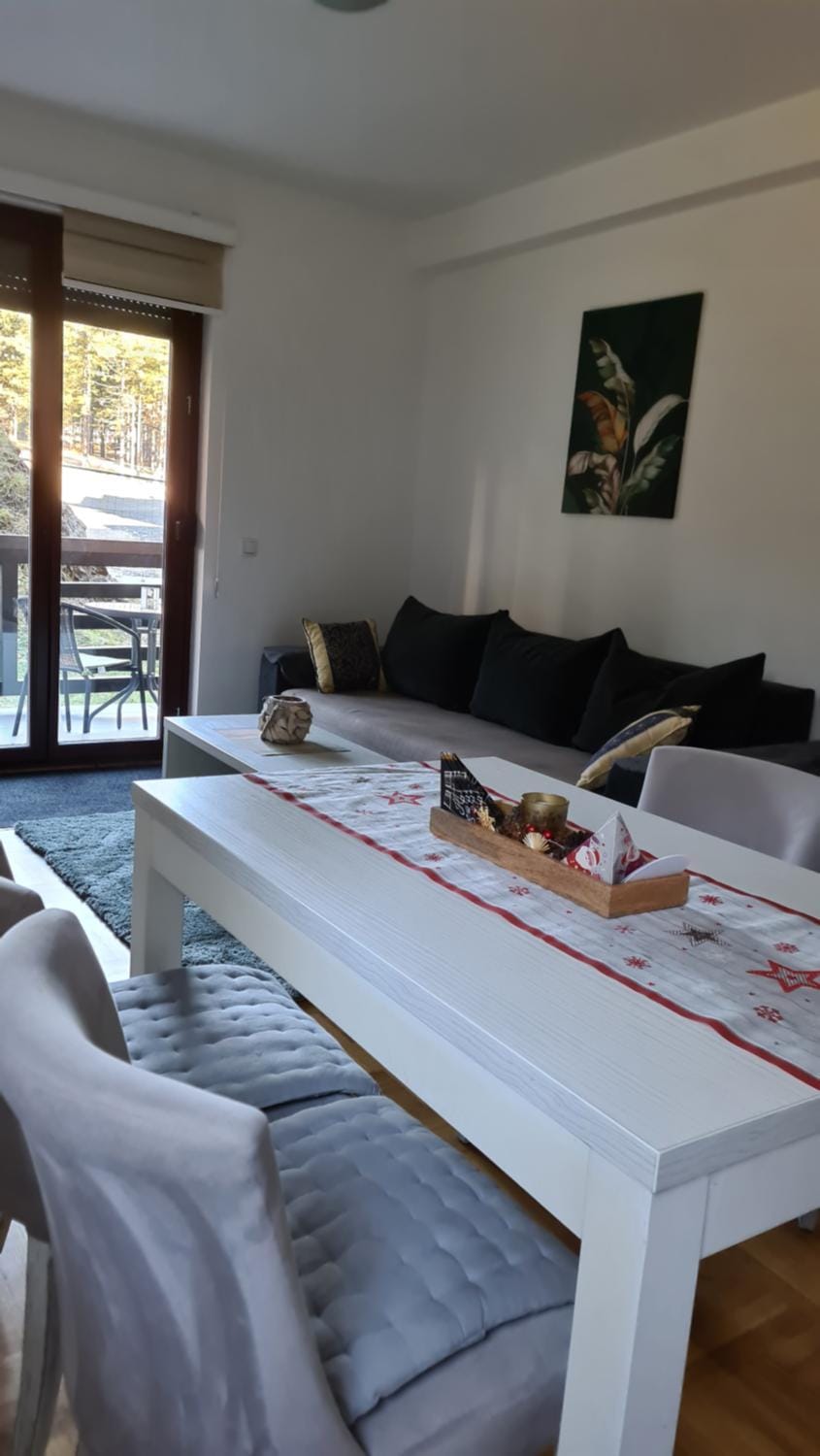 Apartman Renata Apartment in Zlatibor