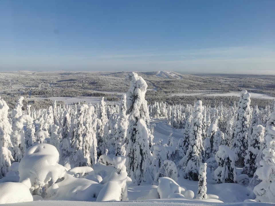 Pöllönpesä Iso-Syöte Apartment in Lapland