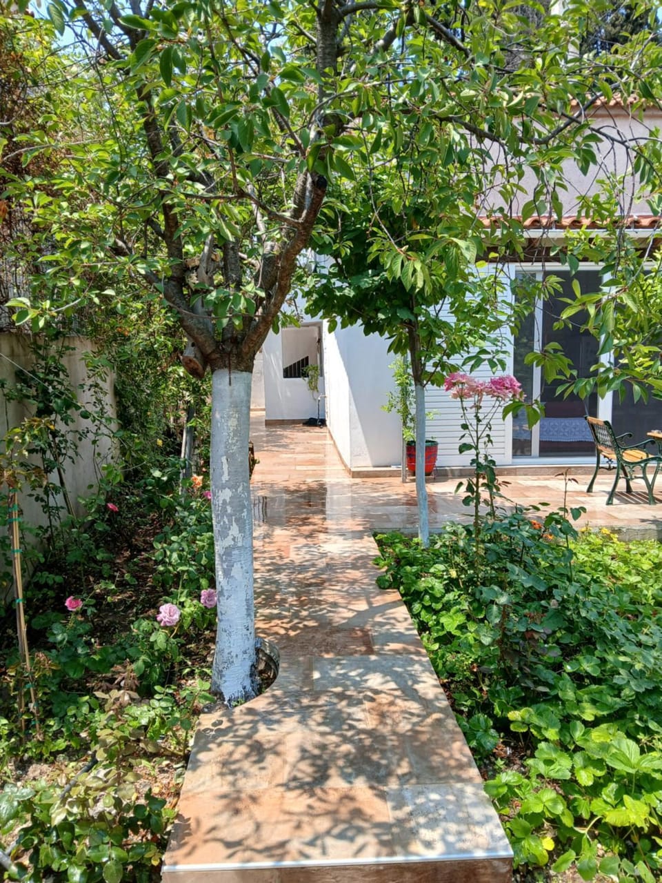 Saint Anna Country House. House in Euboea