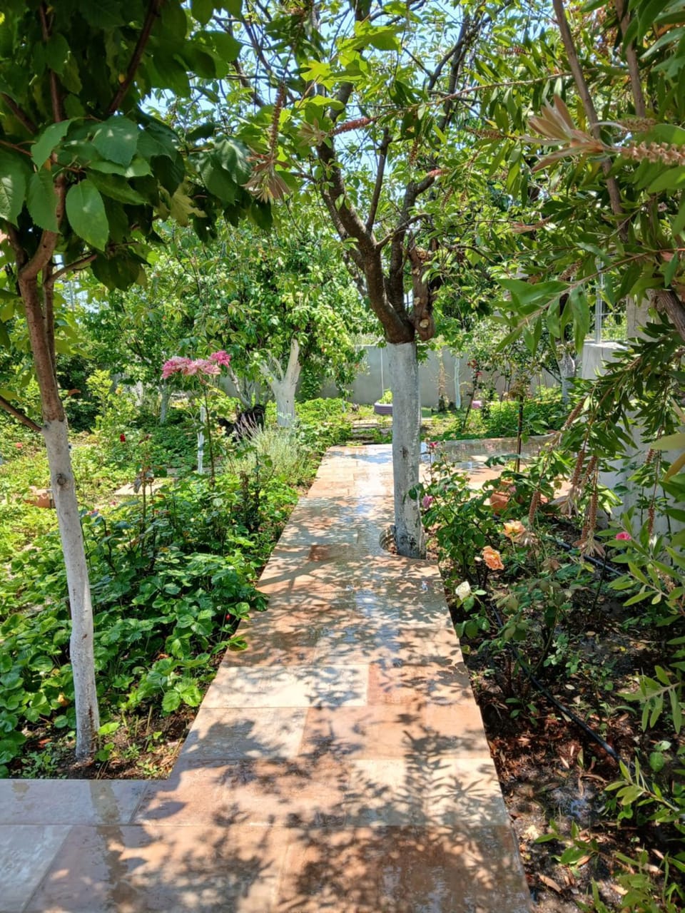 Saint Anna Country House. House in Euboea