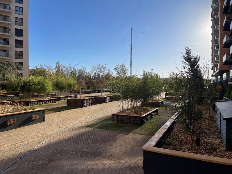 Natural landscape, Garden