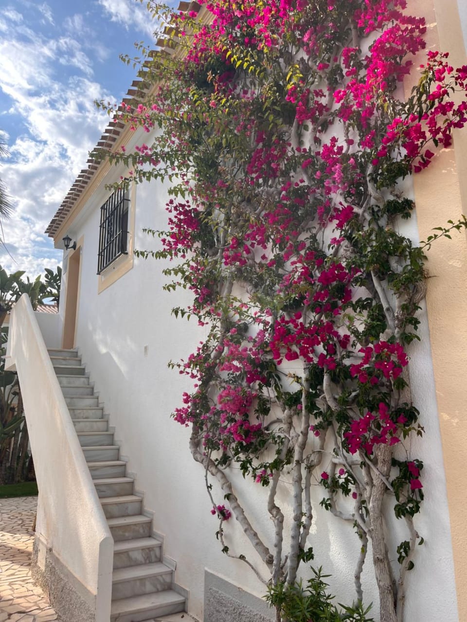 Property building, Facade/entrance, Garden