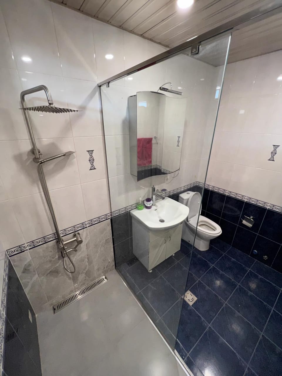 Shower, Toilet, Bathroom, towels