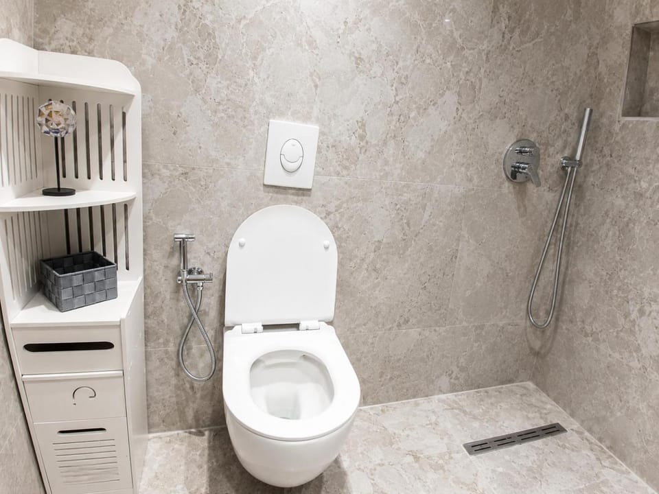 Shower, Toilet, Bathroom, towels