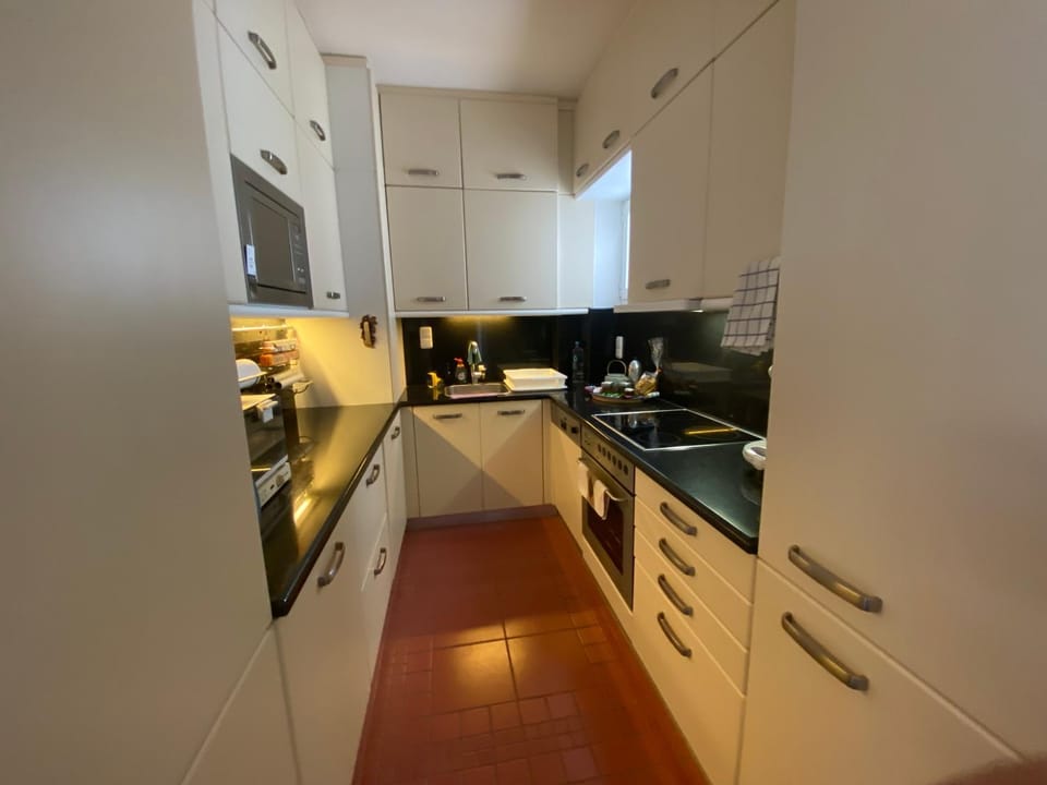 Kitchen or kitchenette, dishwasher, minibar, pet friendly, stove