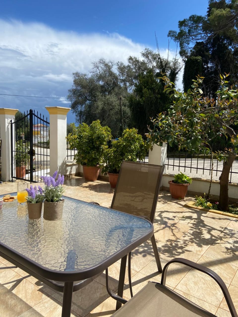 Patio, Garden, Balcony/Terrace, Seating area, Garden view