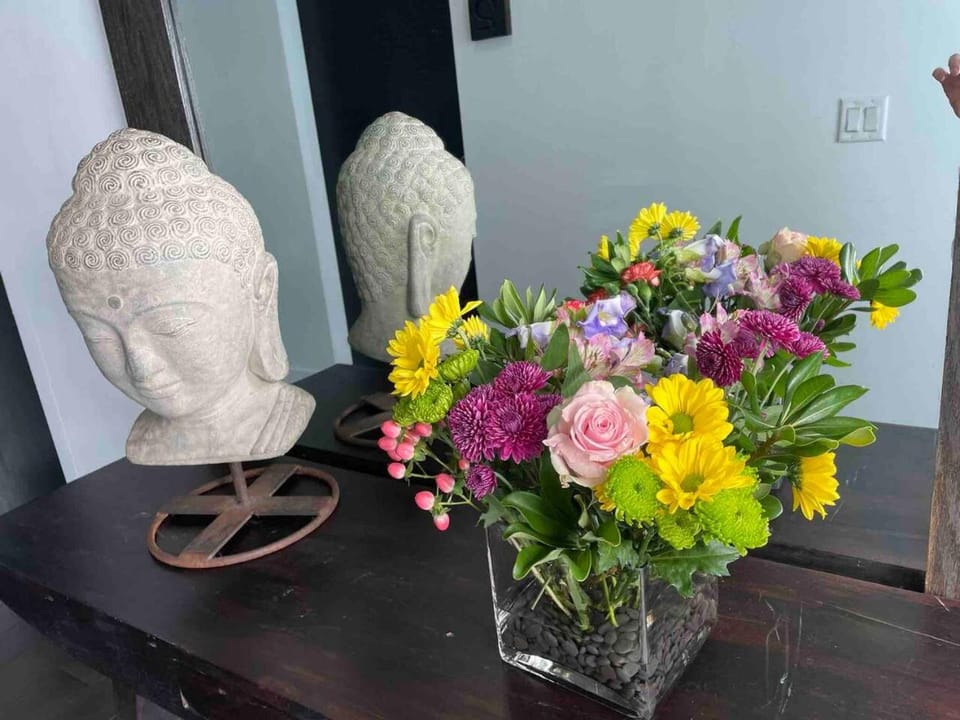 Vive Zen Queen Room Apartment in Miami