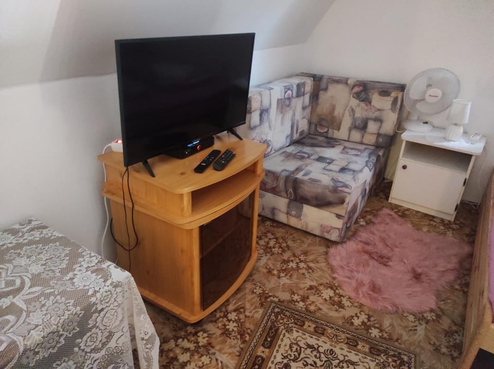 TV and multimedia