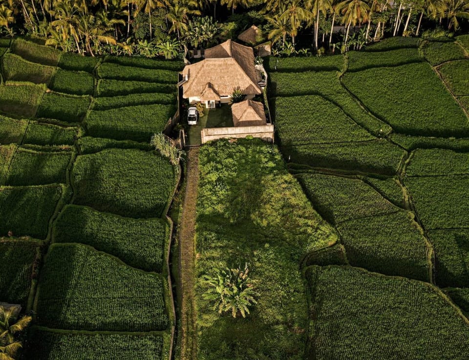 EDEN VALLEY Apartment in Tampaksiring