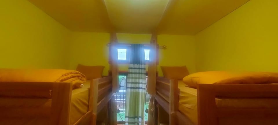 bunk bed