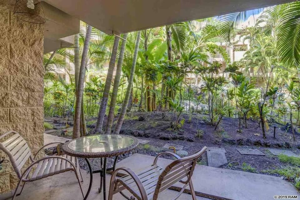 Wonderful Paki Maui by the Ocean in Lahaina Apartment in Kaanapali