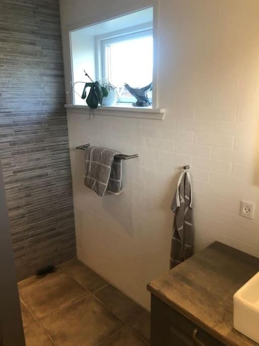hyggeligt byhus tæt ved skov og togstation Villa in Denmark