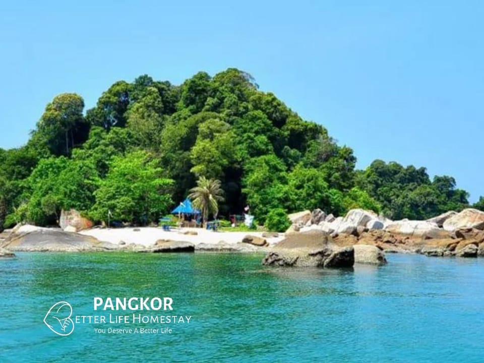Nearby landmark, Natural landscape, Beach, River view, Sea view
