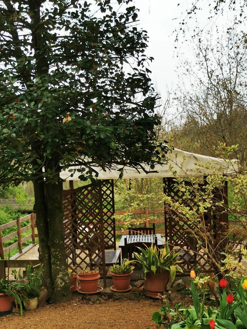 Garden view