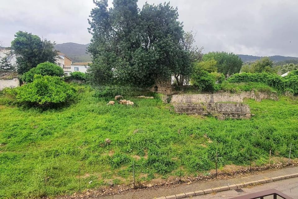 La Terracita del Bosque Apartment in Sierra de Cádiz