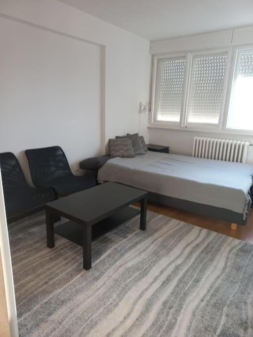 Cvijićeva Apartment in Belgrade