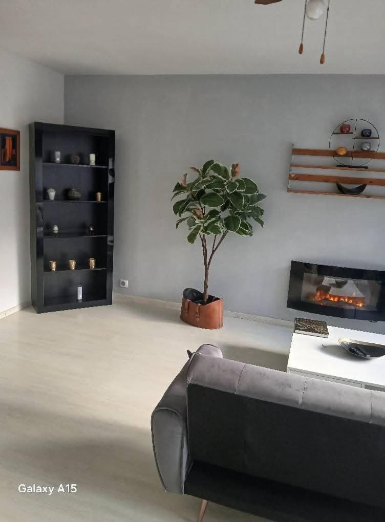 Jolie appartement Apartment in Mulhouse