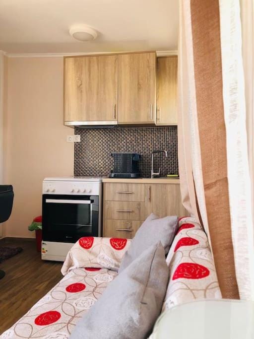 Kitchen or kitchenette, minibar, pet friendly