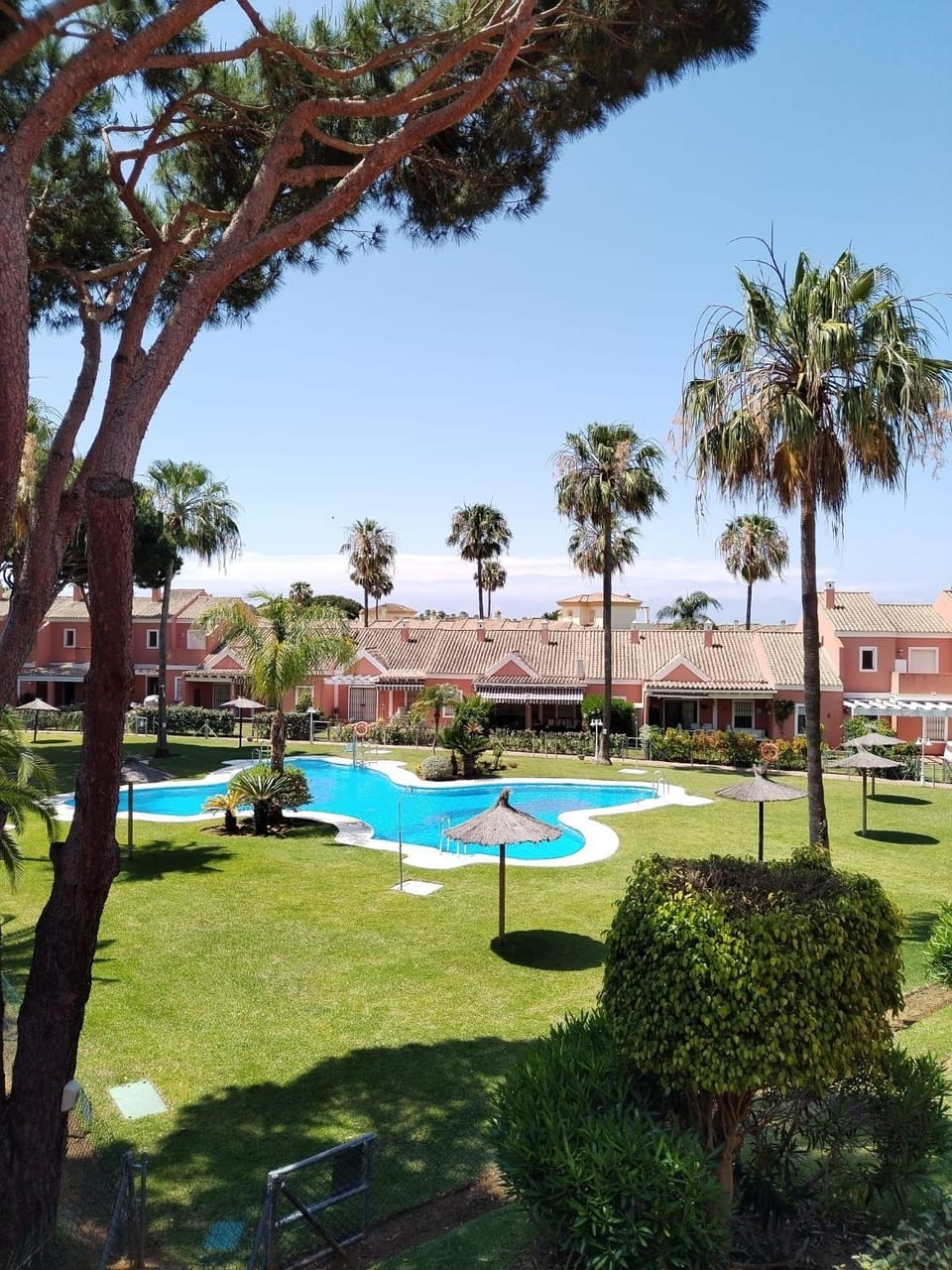 Day, Natural landscape, Garden, Garden view, Pool view, Swimming pool