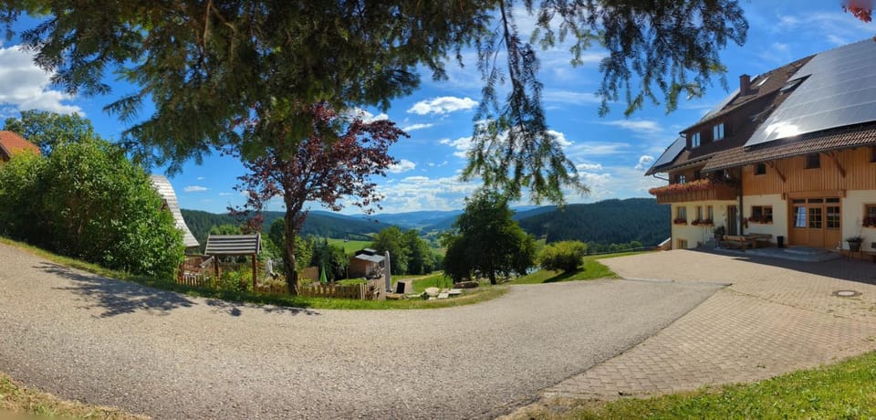 Property building, Spring, Natural landscape, View (from property/room)