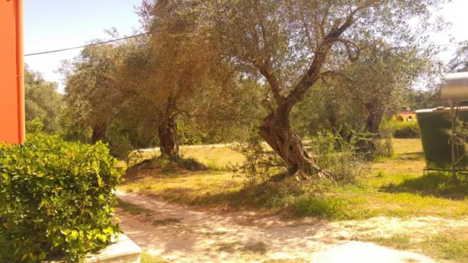 GERAMIA Apartment in Corfu, Greece