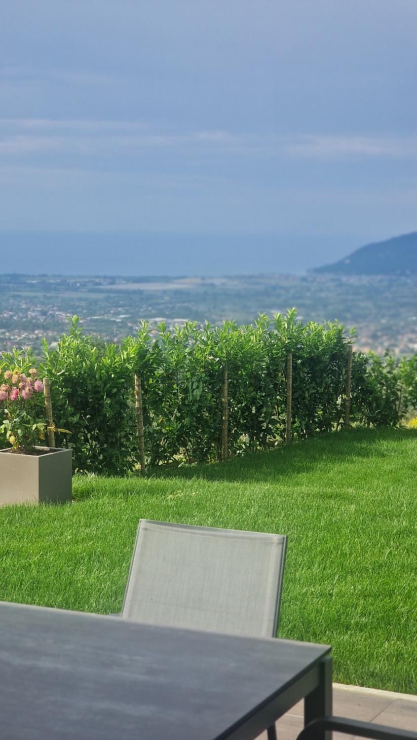 Natural landscape, Garden, View (from property/room)