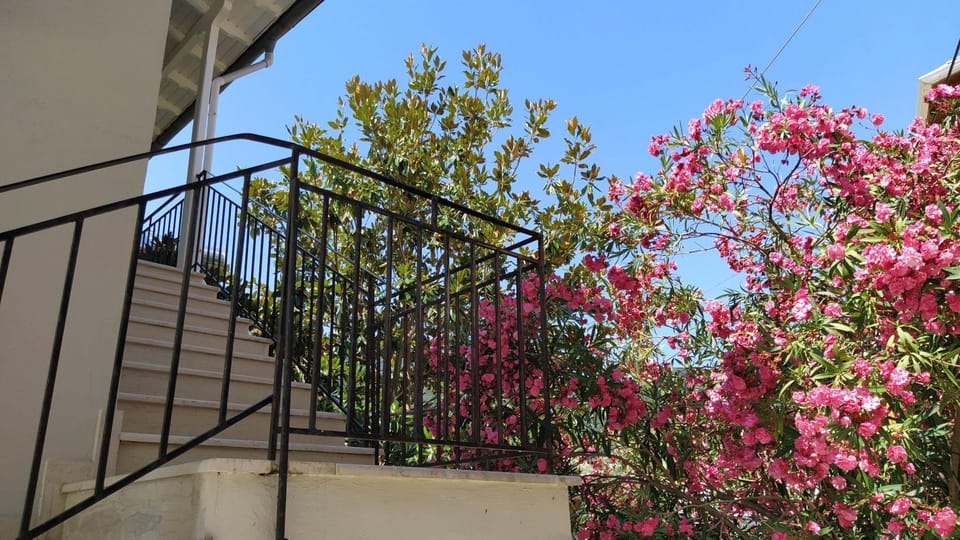 Property building, Spring