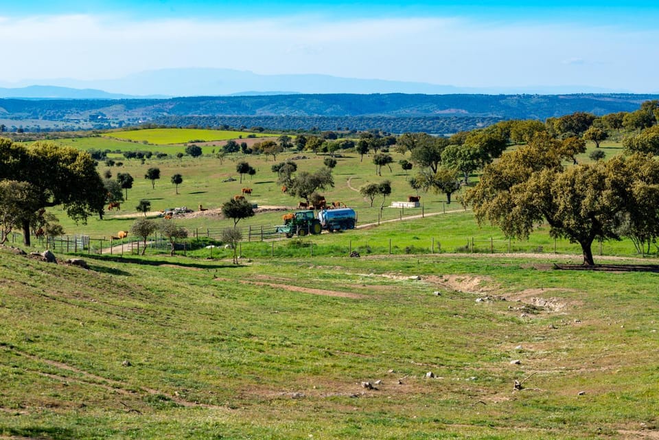 Natural landscape