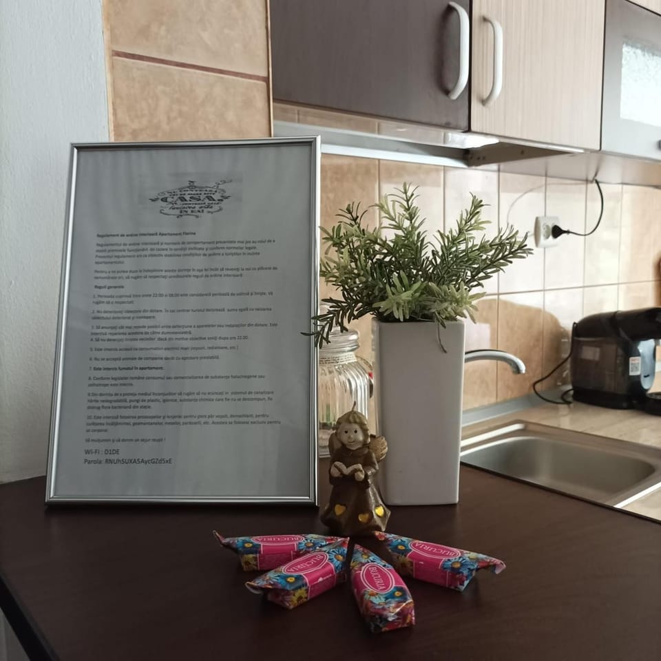 Apartament Florina Apartment in Romania