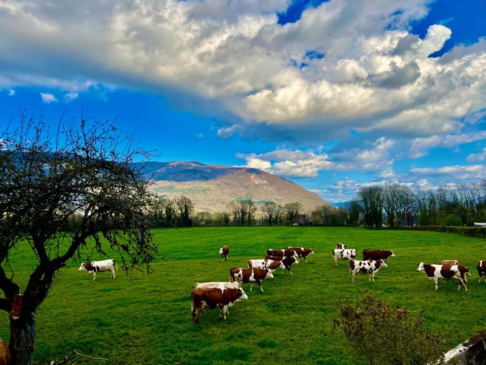 Natural landscape