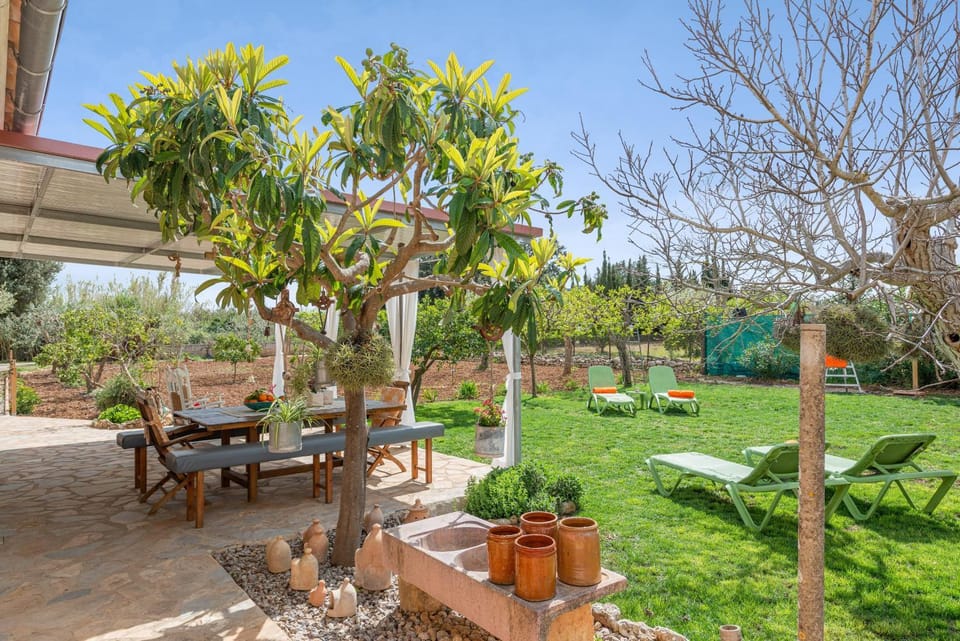 Garden, Other