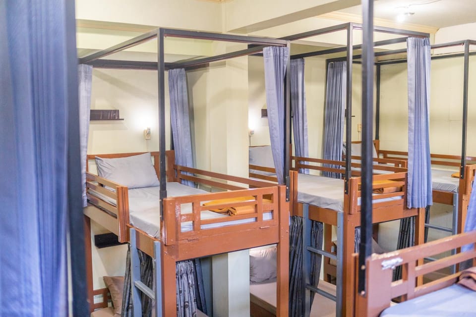 Bed, Photo of the whole room, Bedroom, bunk bed