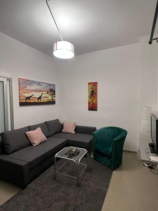 Sany Center Apartment Apartment in Belgrade