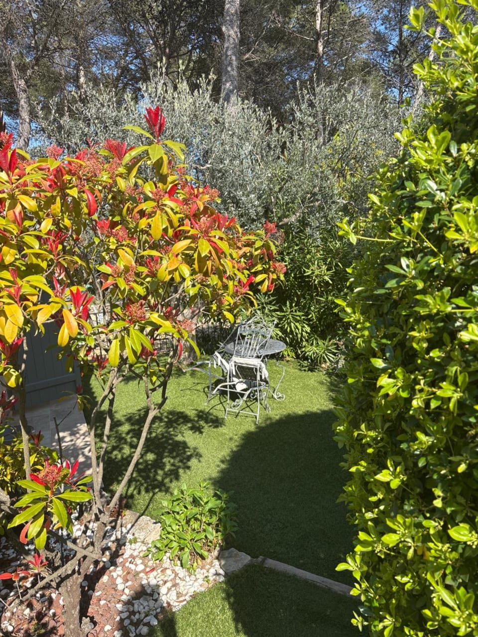 Bastidon de Moon Apartment in Lorgues