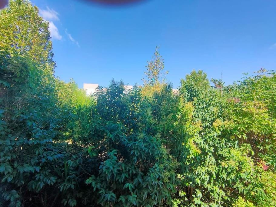 Bedroom, Garden view