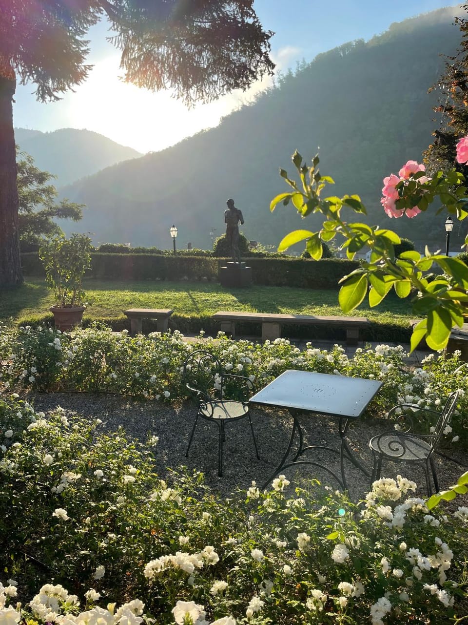 Garden, Garden view, Mountain view