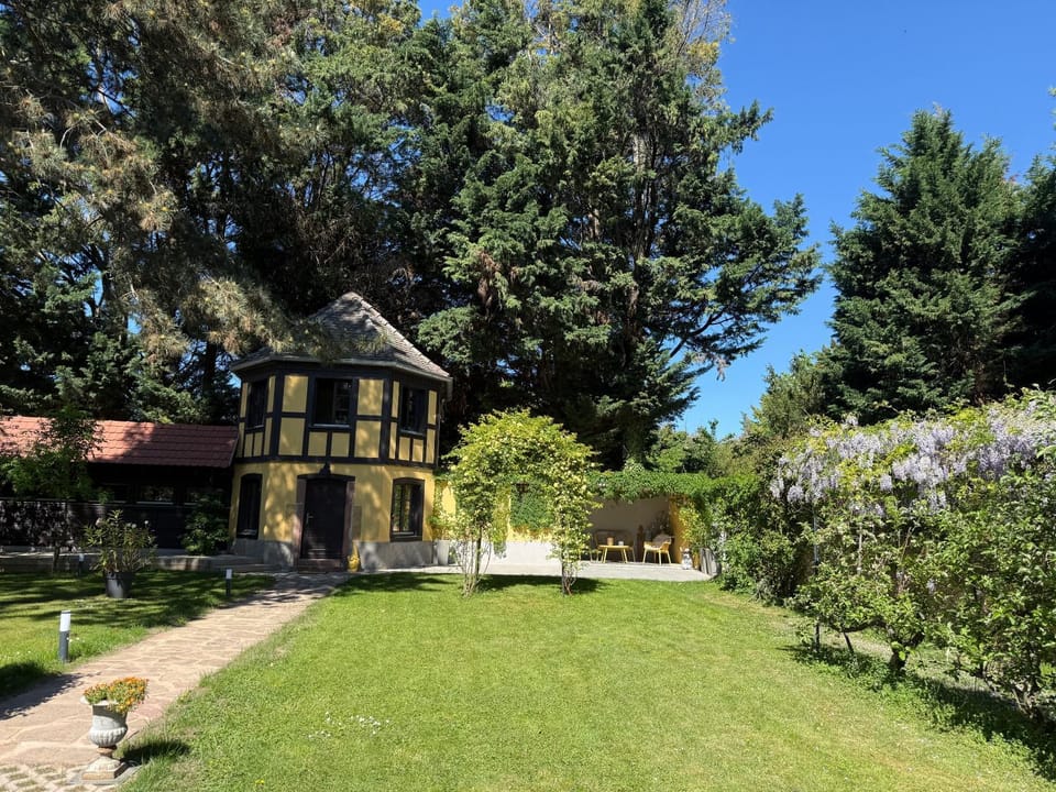Le Parc du Séquoia & SPA proche Colmar et Riquewihr House in Colmar