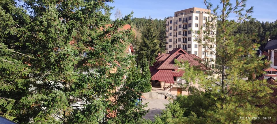 Apartman Staša Zlatibor Apartment in Zlatibor